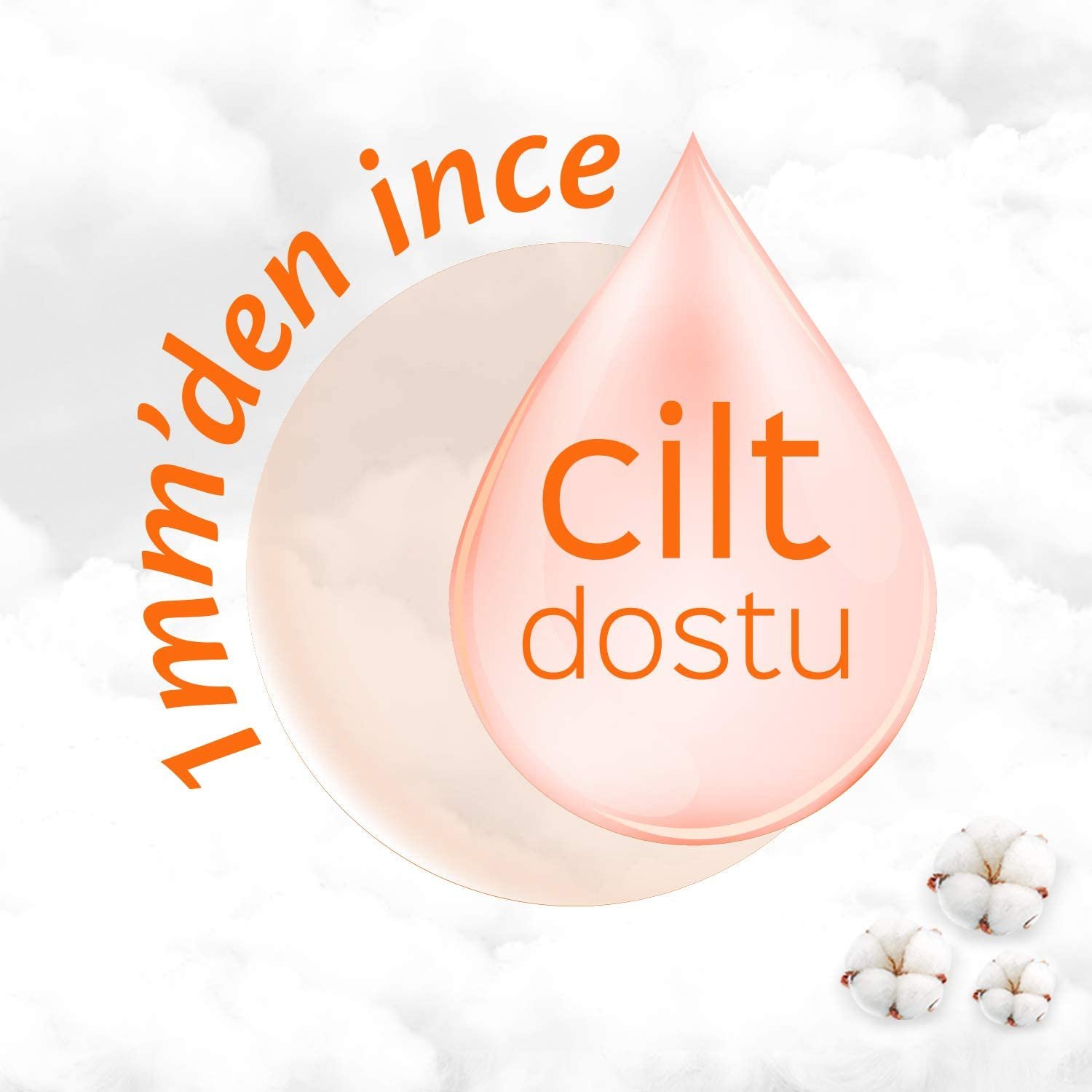 aktif2.jpg